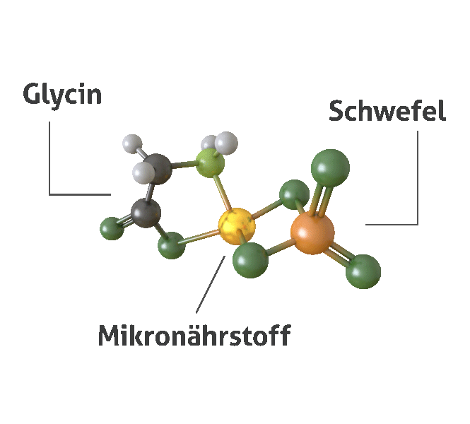 Animation des MicroGo Moleküls mit Nährstoff, Schwefel und Glycin