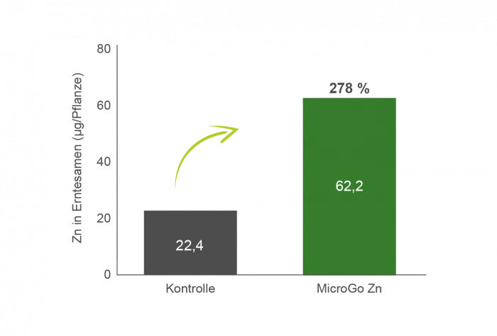 Versuchsgrafik Zn In Erntesamen